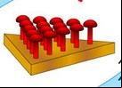 PIRAMIDE AGUJEREADA