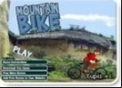 montain bike